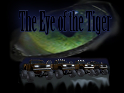 Eye of the tiger -Skin
